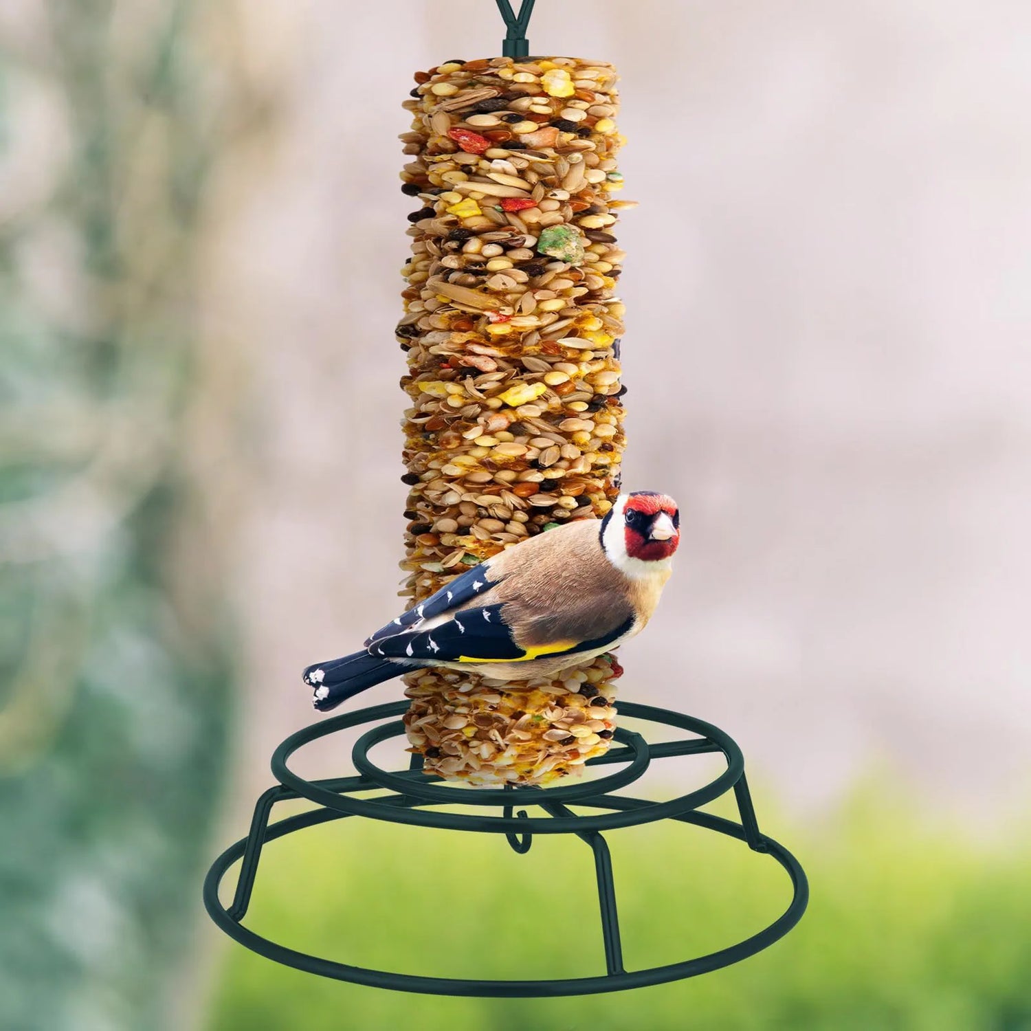 Bird Feeders